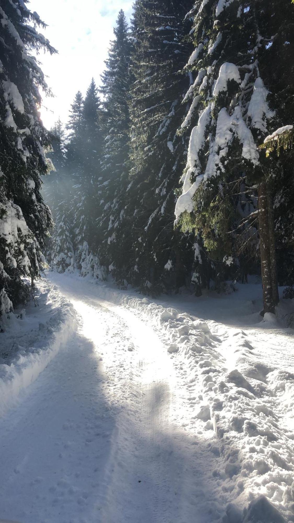 Chalet Kovacevic Žabljak Esterno foto