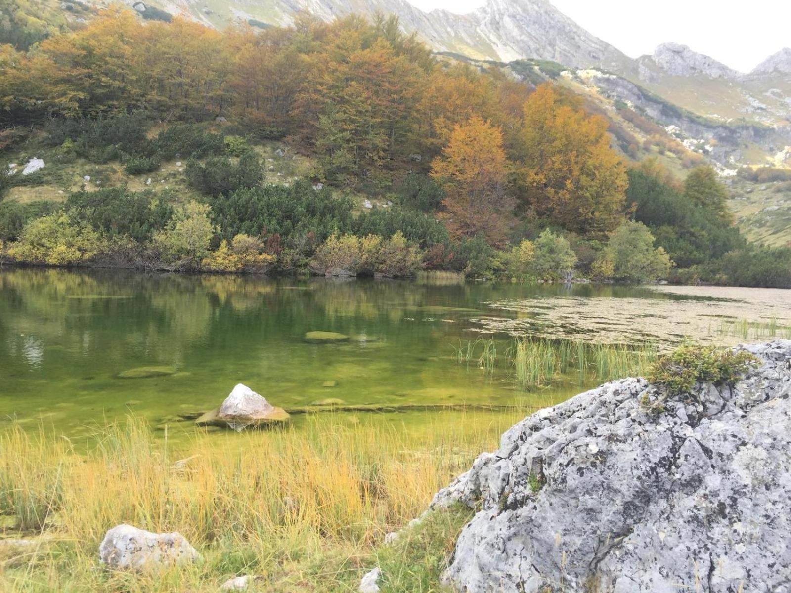 Chalet Kovacevic Žabljak Esterno foto