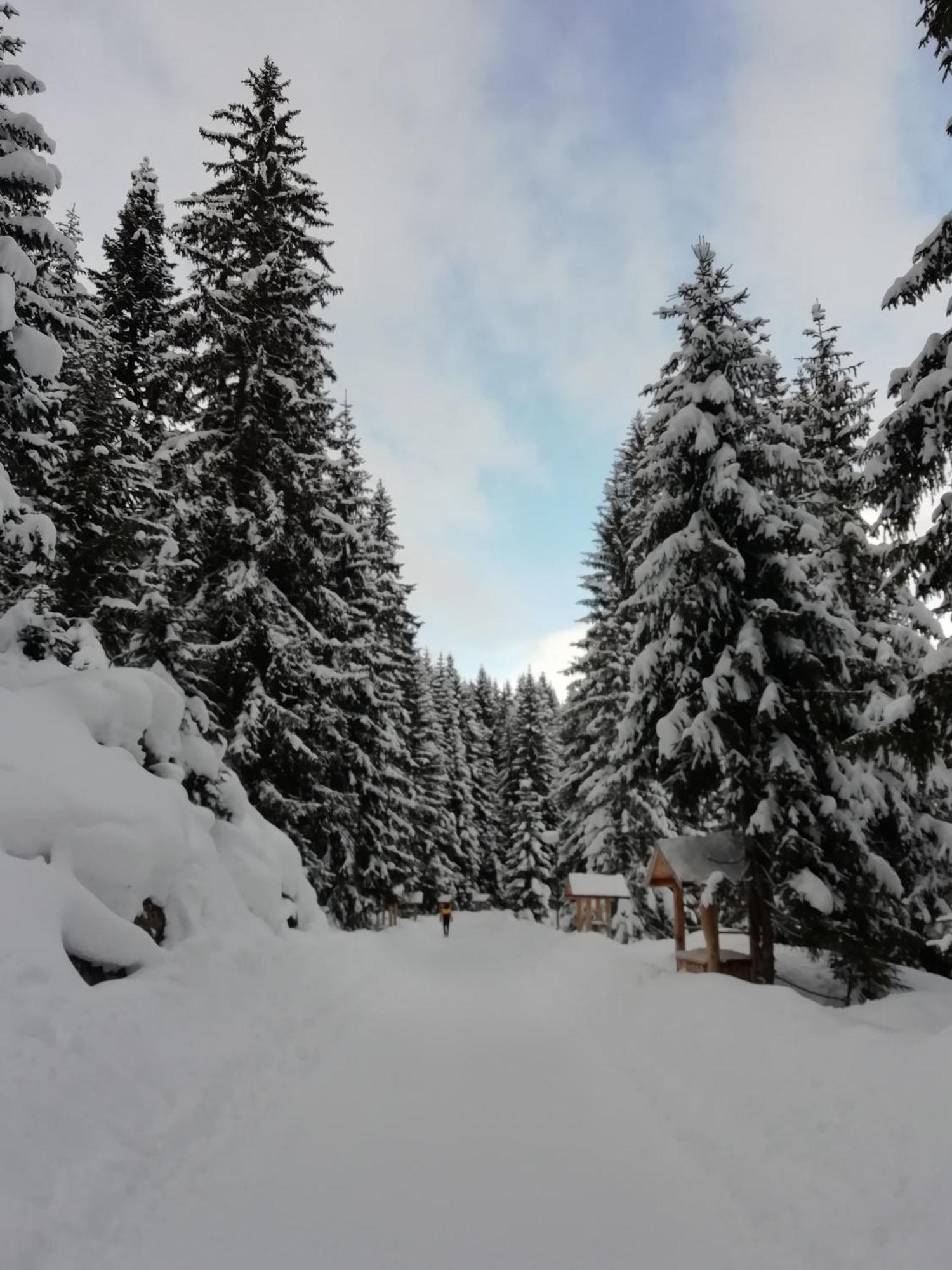 Chalet Kovacevic Žabljak Esterno foto